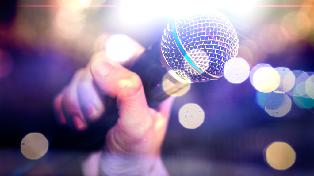 Animateur Professionnel camping, micro, chant, dj set, karaoké, blind test
